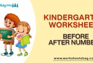 Before After Numbers Worksheets Download PDF