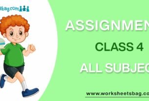 Assignments For Class 4 Download PDF