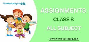 class 8 assignments 16 week