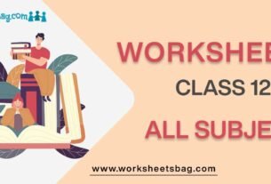 Worksheets for Class 12 all subject