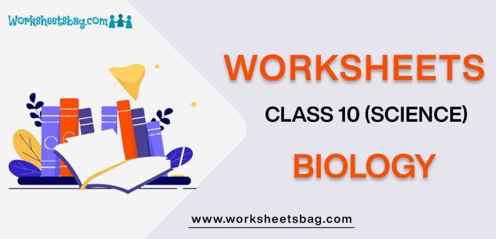 Worksheet For Class 10 Biology