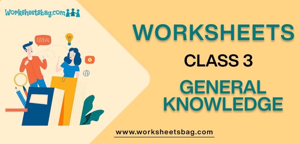 Worksheet for Class 3 General Knowledge