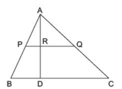 MCQ Chapter 6 Triangles Class 10 Mathematics