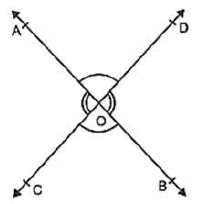 Worksheets For Class 9 Mathematics Lines and Angles