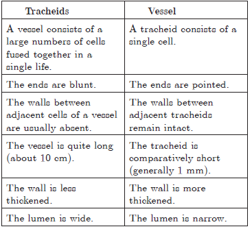 Tissues Chapter 6 Class 9 Science Worksheets