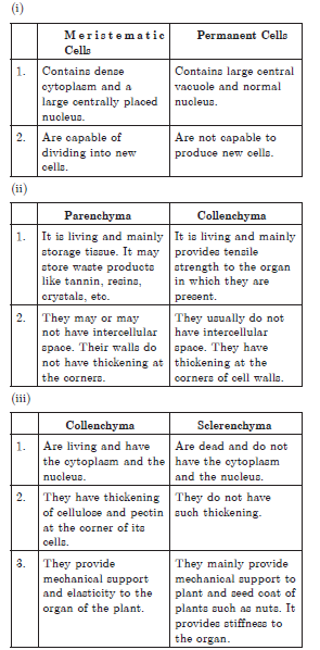 Tissues Chapter 6 Class 9 Science Worksheets