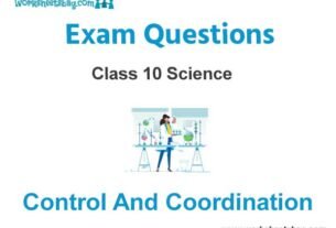 Control and Coordination Exam Questions Class 10 Science