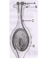 How do the Organisms Reproduce Exam Questions Class 10 Science