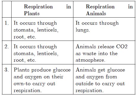 Life Processes Exam Questions Class 10 Science