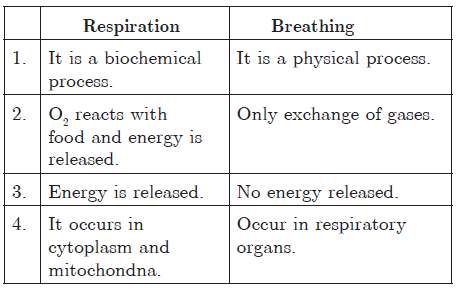 Life Processes Exam Questions Class 10 Science