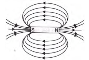Magnetic Effect of Electric Current Exam Questions Class 10 Science
