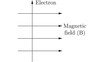 Magnetic Effect of Electric Current Exam Questions Class 10 Science