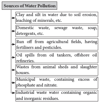 Notes Environmental Issues Class 12 Biology