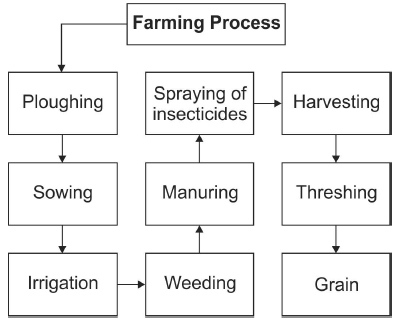 Agriculture Notes Class 10 Social Science