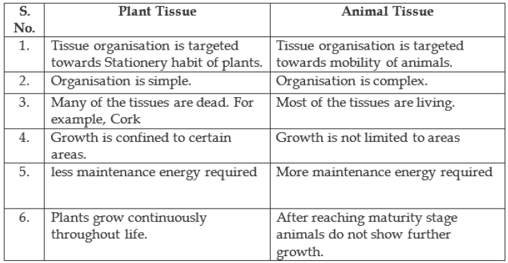 Notes and Questions Class 9 Science Chapter 6 Tissues