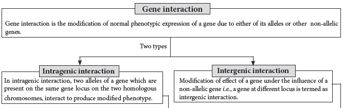 Notes Principles of Inheritance and Variation Class 12 Biology