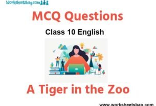 A Tiger in the Zoo MCQ Questions Class 10 English