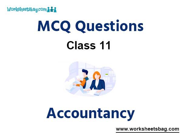 MCQ Questions for Class 11 Accountancy