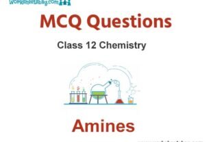 Amines MCQ Questions Class 12 Chemistry