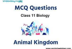 Animal Kingdom MCQ Questions Class 11 Biology
