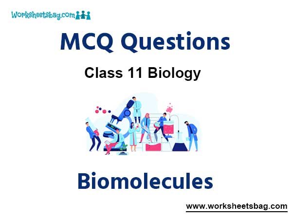 Biomolecules MCQ Questions Class 11 Biology