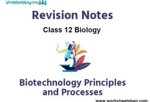 Notes Biotechnology Principles and Processes Class 12 Biology