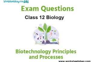 Biotechnology Principles And Processes Exam Questions Class 12 Biology