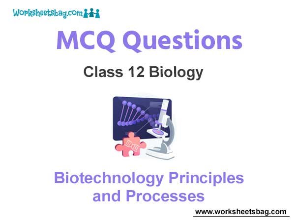Biotechnology Principles and Processes MCQ Questions Class 12 Biology