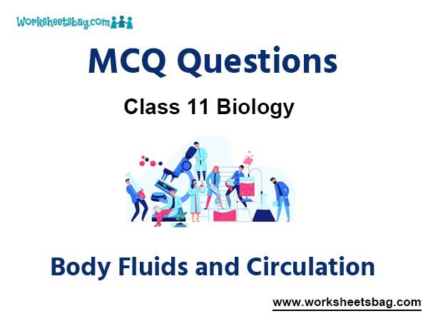 Body Fluids and Circulation MCQ Questions Class 11 Biology