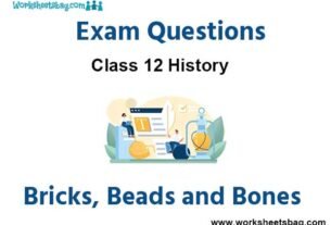 Bricks Beads and Bones Exam Questions Class 12 History