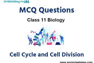 Cell Cycle and Cell Division MCQ Questions Class 11 Biology