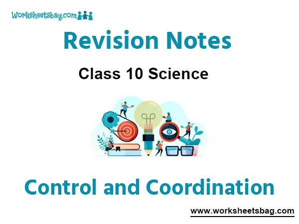 Control and Coordination Revision Notes