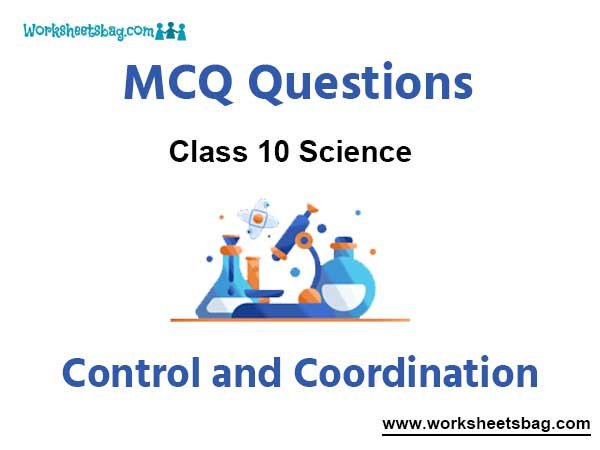 Control and Coordination MCQ Questions Class 10 Science