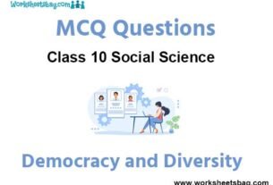Democracy and Diversity MCQ Questions Class 10 Social Science