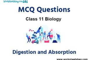 Digestion and Absorption MCQ Questions Class 11 Biology