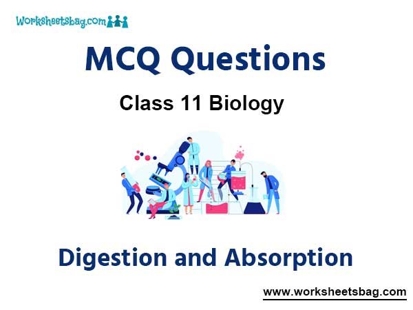 Digestion and Absorption MCQ Questions Class 11 Biology
