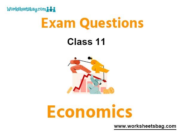 Economics Class 11 Exam Questions