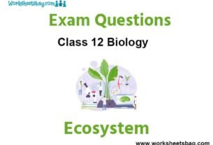 Ecosystem Exam Questions Class 12 Biology