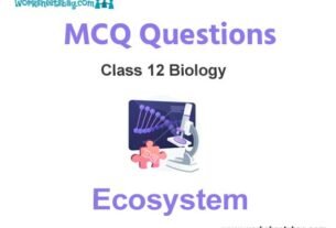 Ecosystem MCQ Questions Class 12 Biology