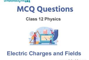 Electric Charges and Fields MCQ Questions Class 12 Physics