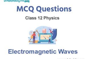 Electromagnetic Waves MCQ Questions Class 12 Physics