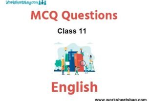 MCQ Questions For Class 11 English
