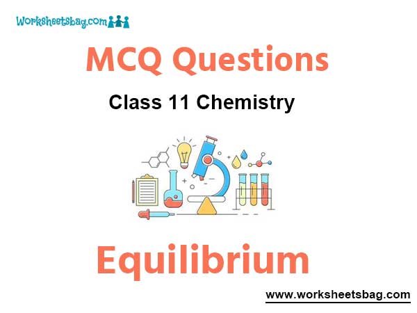 Equilibrium MCQ Questions Class 11 Chemistry