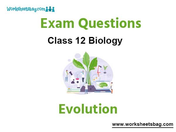 Evolution Exam Questions Class 12 Biology