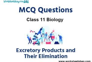 Excretory Products and Their Elimination MCQ Questions Class 11 Biology
