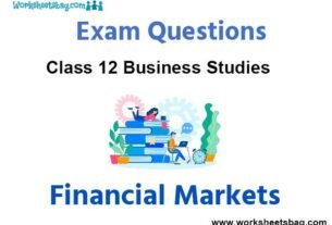 Financial Markets Exam Questions Class 12 Business Studies