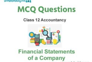 Financial Statements of a Company MCQ Questions Class 12 Accountancy