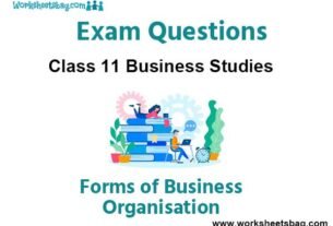 Forms of Business Organisation Exam Questions Class 11 Business Studies