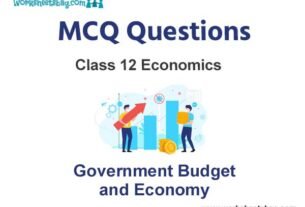 Government Budget and Economy MCQ Questions Class 12 Economics