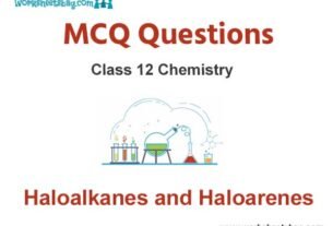Haloalkanes And Haloarenes MCQ Questions Class 12 Chemistry